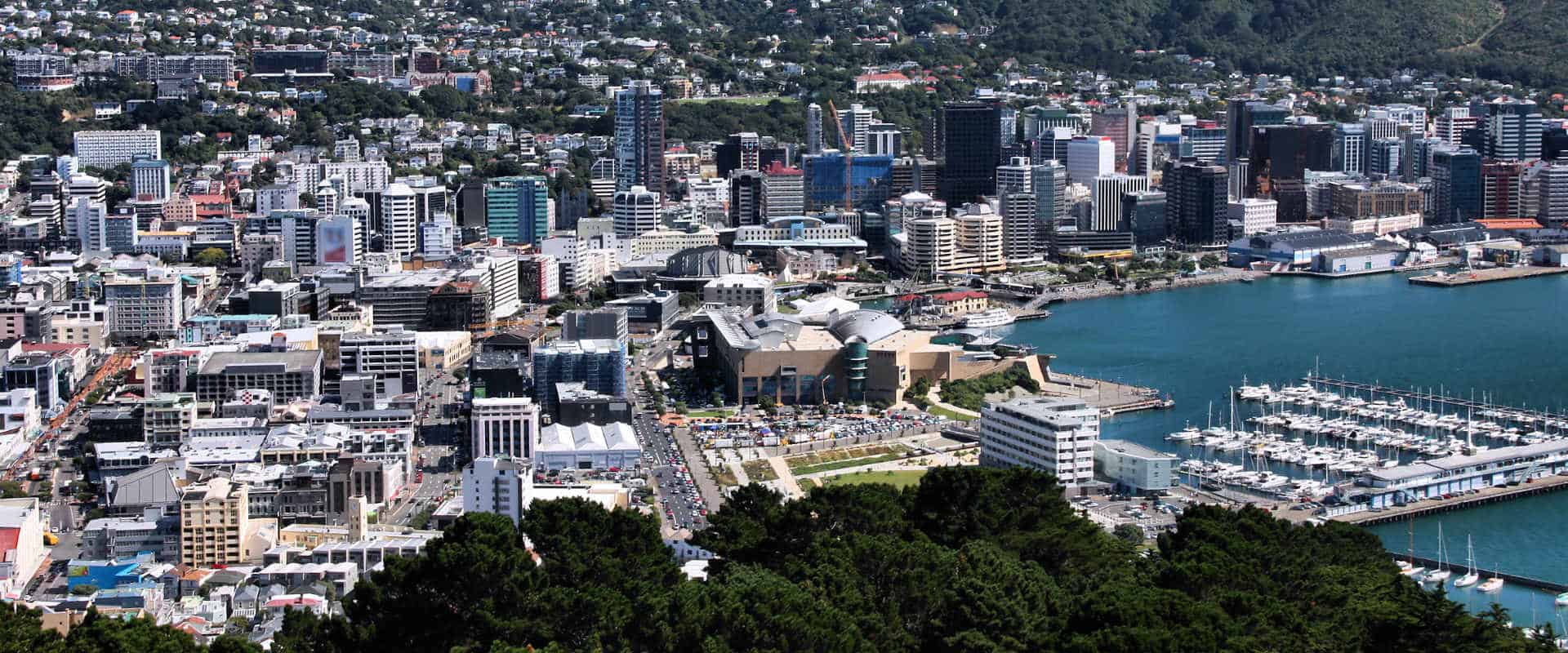 Wellington city and harbour seen from the Mount Victoria lookout